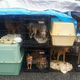 Illustration for article titled 50 dogs abandoned at Vancouver area animal shelters